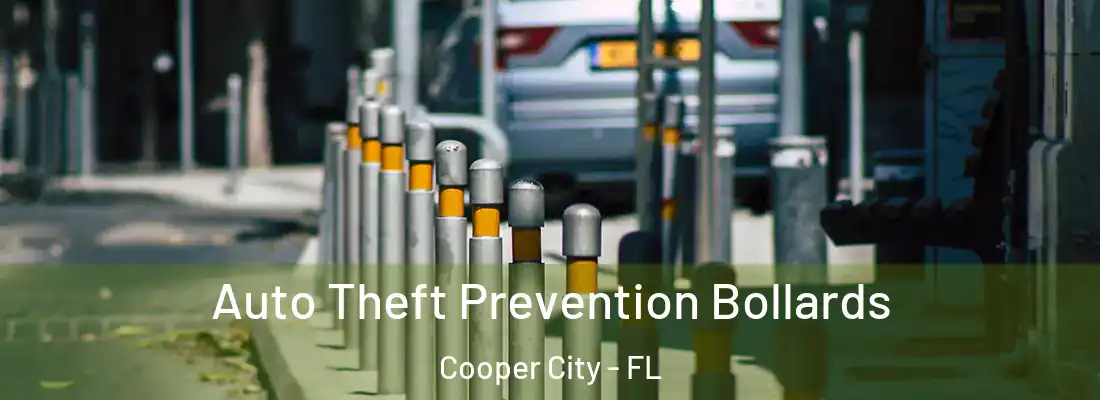  Auto Theft Prevention Bollards Cooper City - FL
