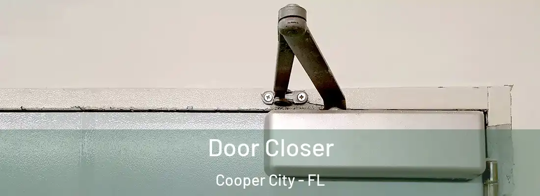  Door Closer Cooper City - FL