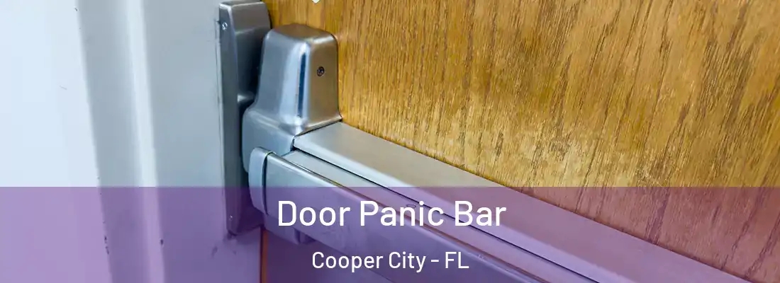  Door Panic Bar Cooper City - FL