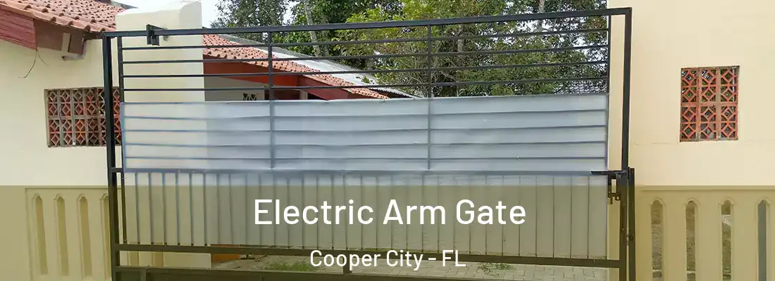  Electric Arm Gate Cooper City - FL