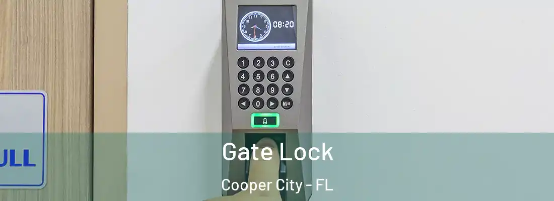  Gate Lock Cooper City - FL