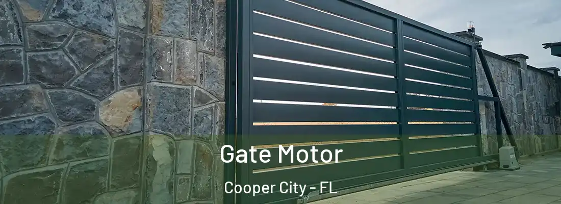  Gate Motor Cooper City - FL