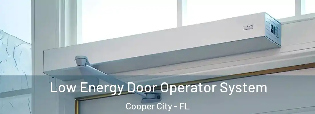  Low Energy Door Operator System Cooper City - FL